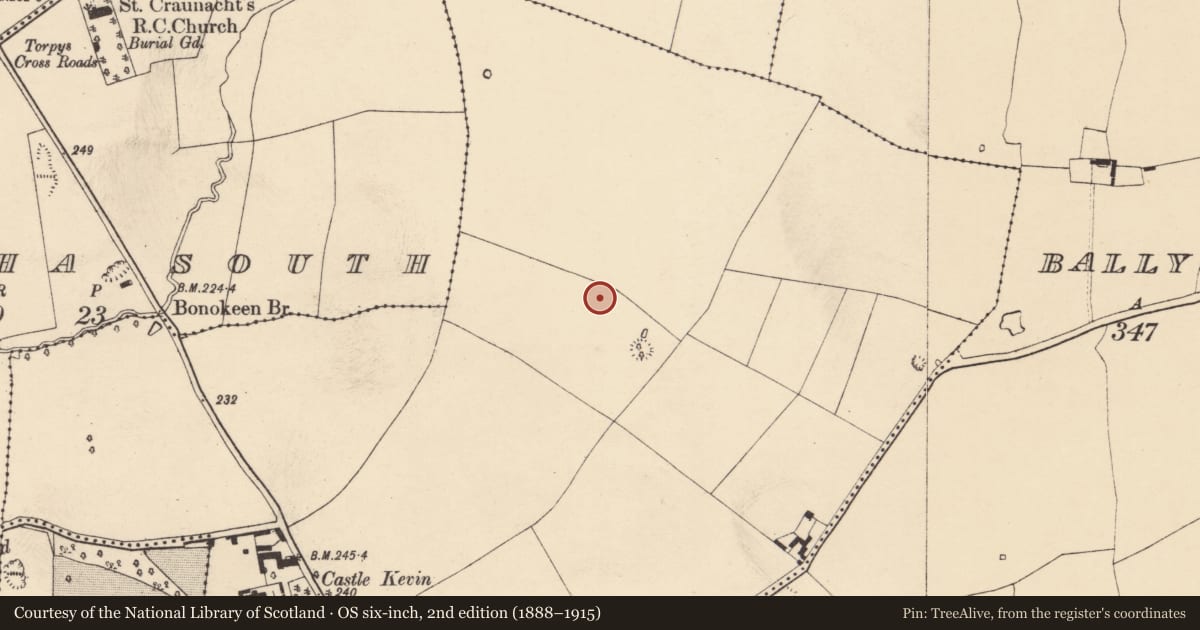 Ordnance Survey six-inch map, 2nd edition (1888–1915) covering the location of Ringfort - rath, Castlekevin, County Cork, with a pin at the register's coordinates