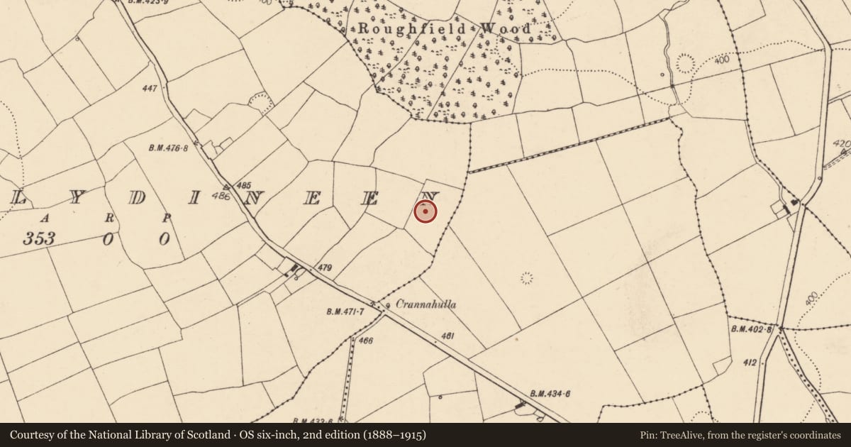 Ordnance Survey six-inch map, 2nd edition (1888–1915) covering the location of Burnt mound, Ballydineen (Fermoy By., Doneraile Par.), County Cork, with a pin at the register's coordinates