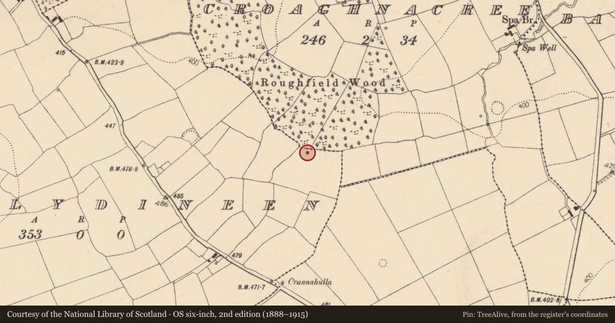 Ordnance Survey six-inch map, 2nd edition (1888–1915) covering the location of Burnt mound, Ballydineen (Fermoy By., Doneraile Par.), County Cork, with a pin at the register's coordinates