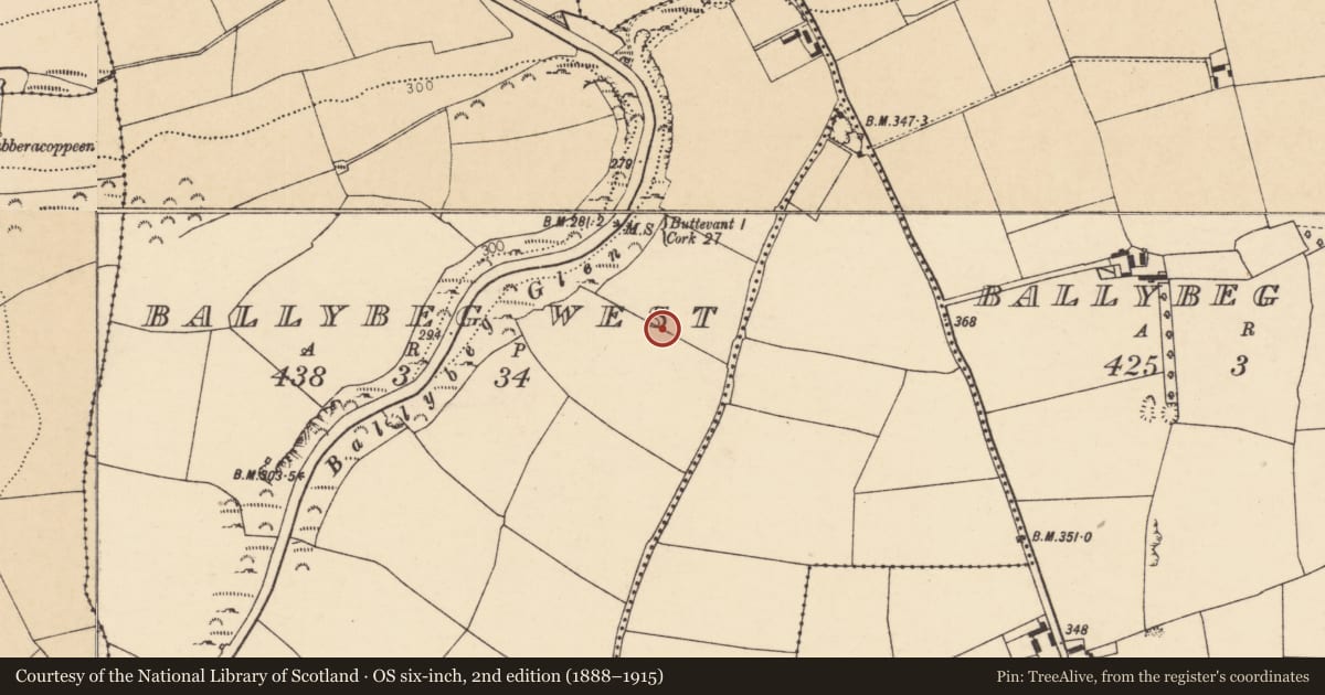 Ordnance Survey six-inch map, 2nd edition (1888–1915) covering the location of Souterrain, Ballybeg West, County Cork, with a pin at the register's coordinates