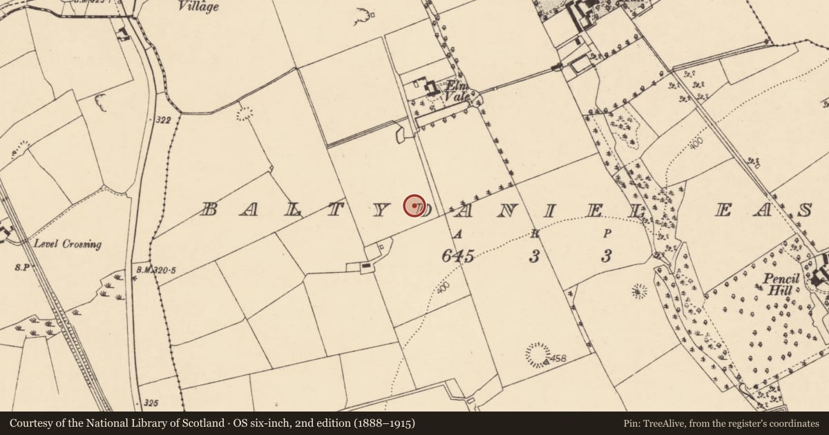 Ordnance Survey six-inch map, 2nd edition (1888–1915) covering the location of Burnt mound, Baltydaniel East, County Cork, with a pin at the register's coordinates