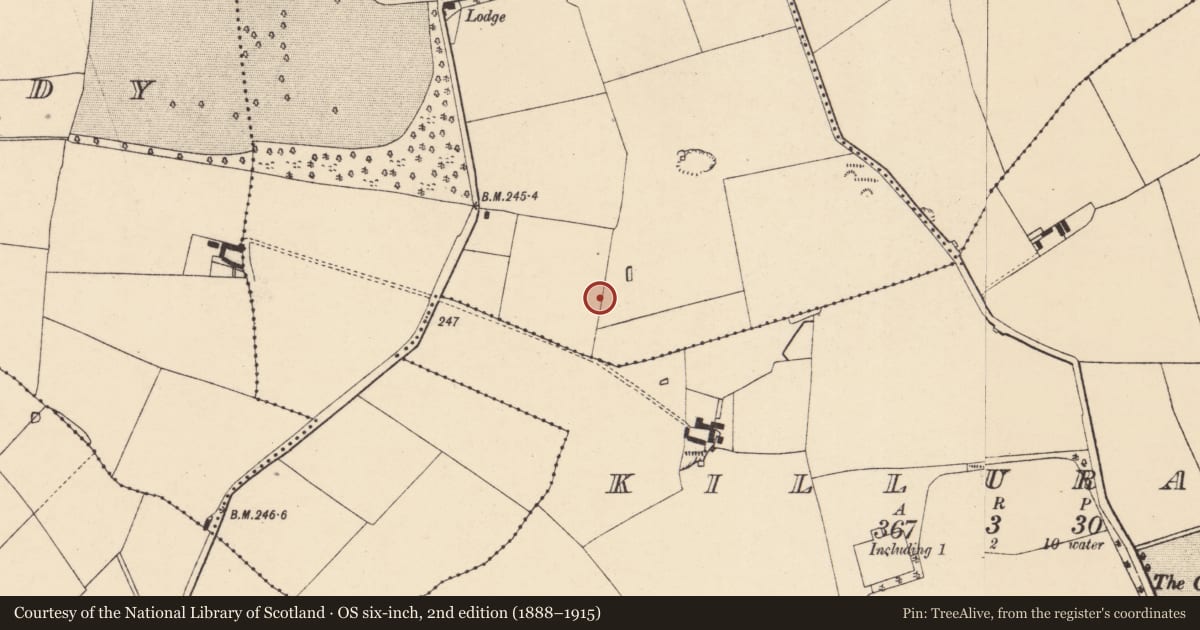 Ordnance Survey six-inch map, 2nd edition (1888–1915) covering the location of Cave, Castlekevin, County Cork, with a pin at the register's coordinates