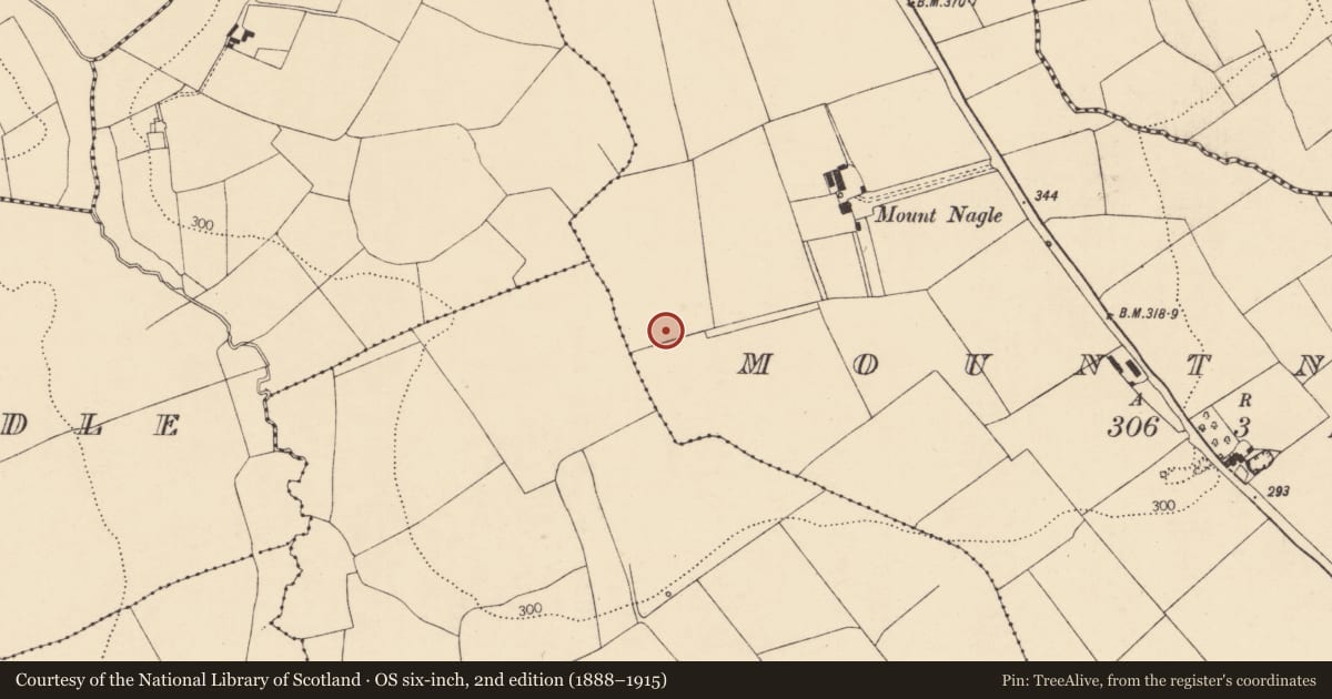 Ordnance Survey six-inch map, 2nd edition (1888–1915) covering the location of Burnt mound, Mountnagle, County Cork, with a pin at the register's coordinates