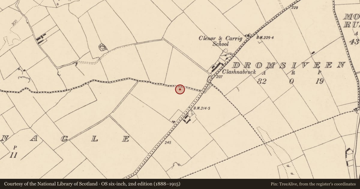 Ordnance Survey six-inch map, 2nd edition (1888–1915) covering the location of Burnt mound, Mountnagle, County Cork, with a pin at the register's coordinates