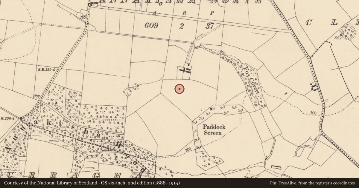 Ordnance Survey six-inch map, 2nd edition (1888–1915) covering the location of Enclosure, Annakisha North, County Cork, with a pin at the register's coordinates