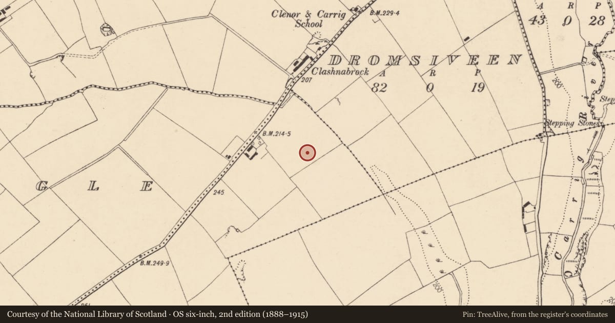 Ordnance Survey six-inch map, 2nd edition (1888–1915) covering the location of Enclosure, Lissanisky, County Cork, with a pin at the register's coordinates