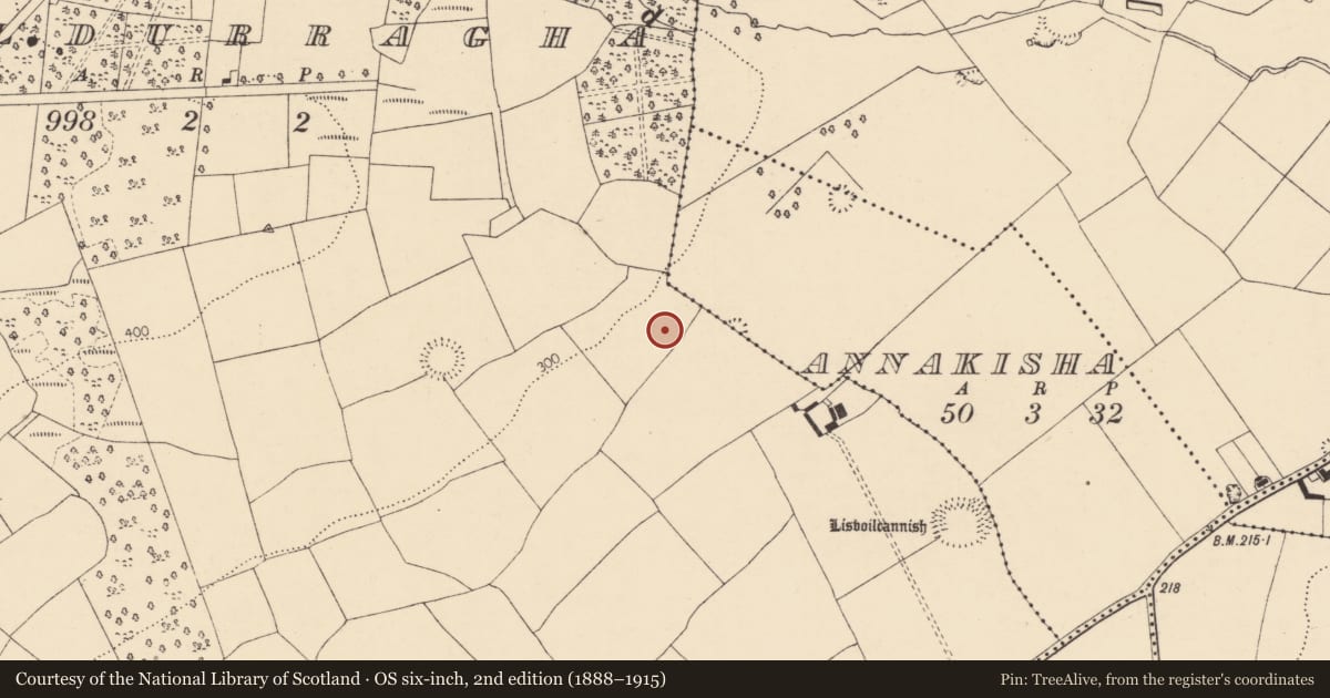 Ordnance Survey six-inch map, 2nd edition (1888–1915) covering the location of Ringfort - rath, Cooldurragha (Fermoy By., Carrigleamleary Par.), County Cork, with a pin at the register's coordinates