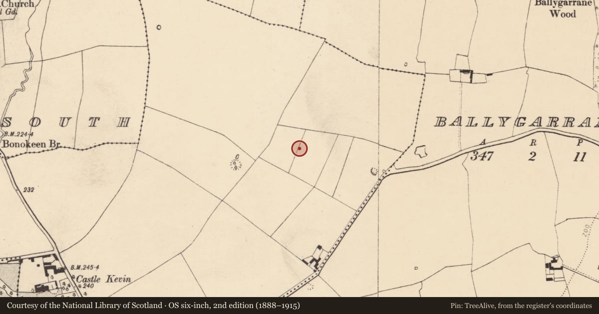 Ordnance Survey six-inch map, 2nd edition (1888–1915) covering the location of Enclosure, Castlekevin, County Cork, with a pin at the register's coordinates