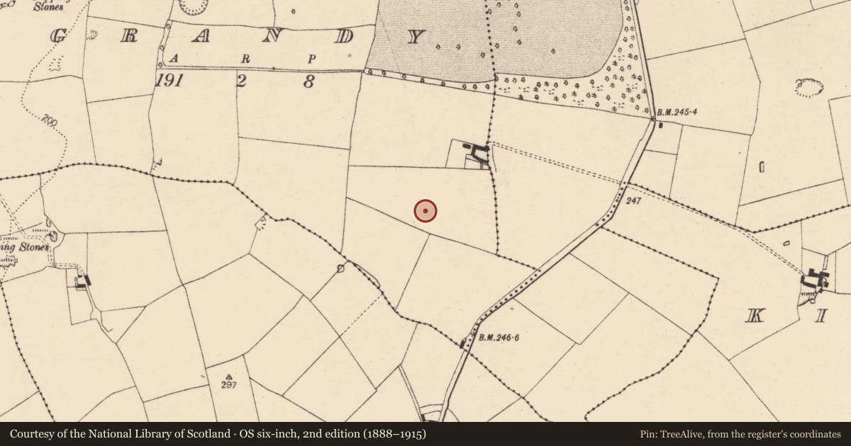 Ordnance Survey six-inch map, 2nd edition (1888–1915) covering the location of Enclosure, Grandy, County Cork, with a pin at the register's coordinates