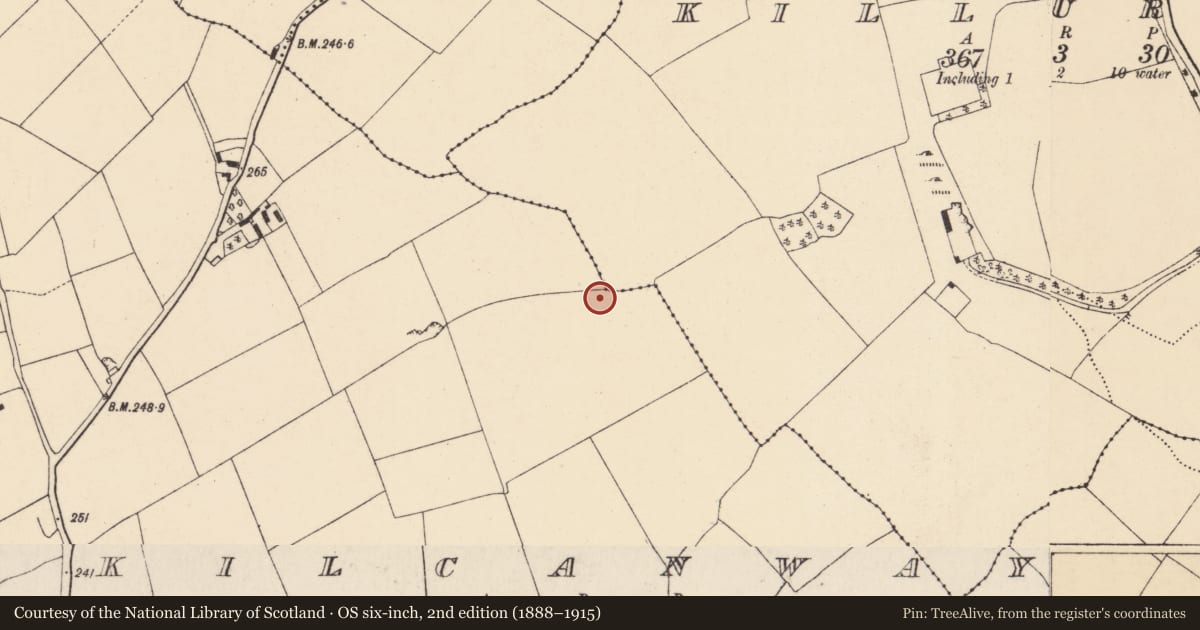 Ordnance Survey six-inch map, 2nd edition (1888–1915) covering the location of Enclosure, Kilcanway, County Cork, with a pin at the register's coordinates
