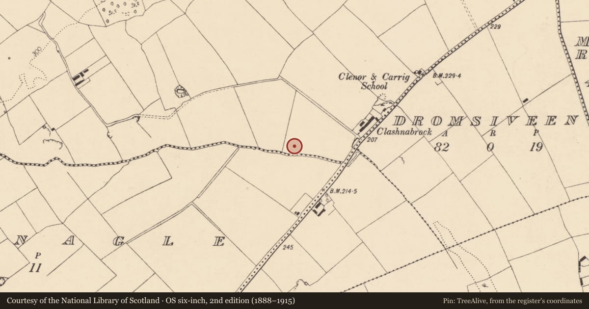 Ordnance Survey six-inch map, 2nd edition (1888–1915) covering the location of Enclosure - large enclosure, County Cork, with a pin at the register's coordinates