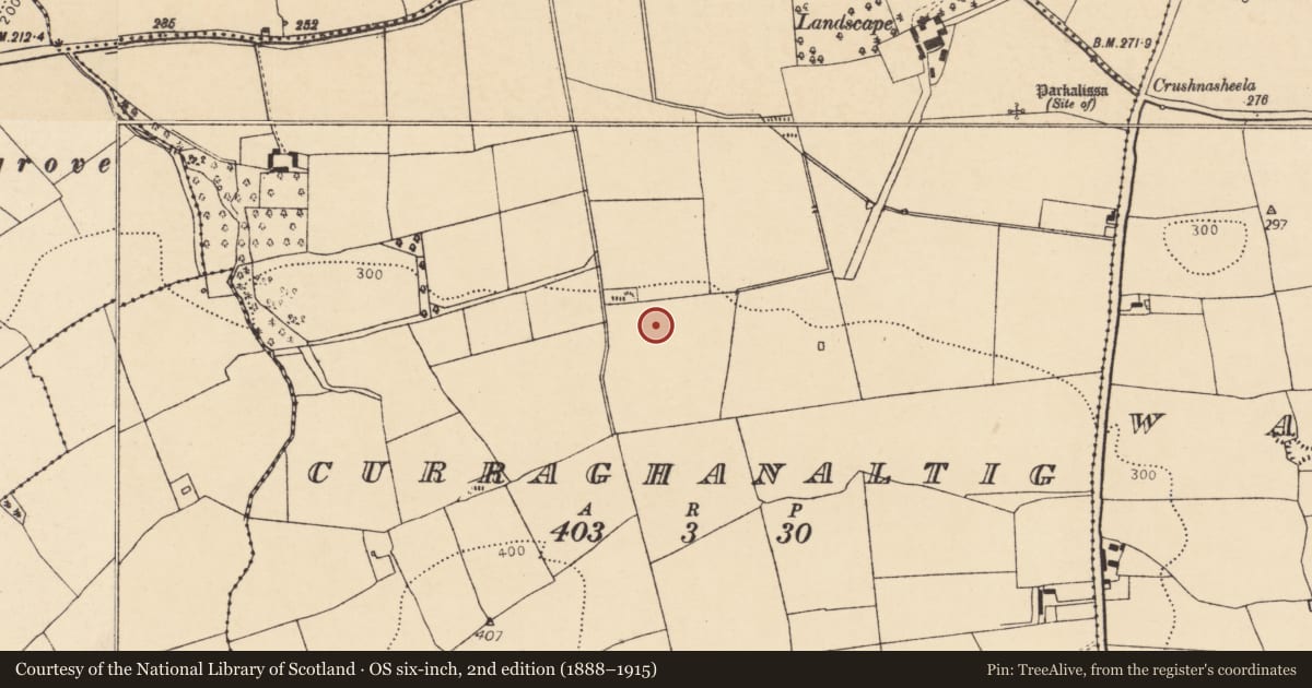 Ordnance Survey six-inch map, 2nd edition (1888–1915) covering the location of Fulacht fia, Curraghanaltig, County Cork, with a pin at the register's coordinates