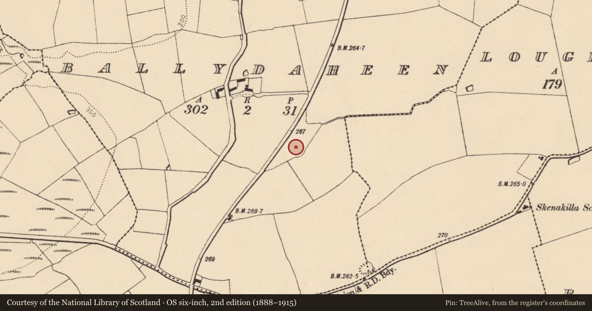 Ordnance Survey six-inch map, 2nd edition (1888–1915) covering the location of Ringfort - rath, Ballydaheen, County Cork, with a pin at the register's coordinates