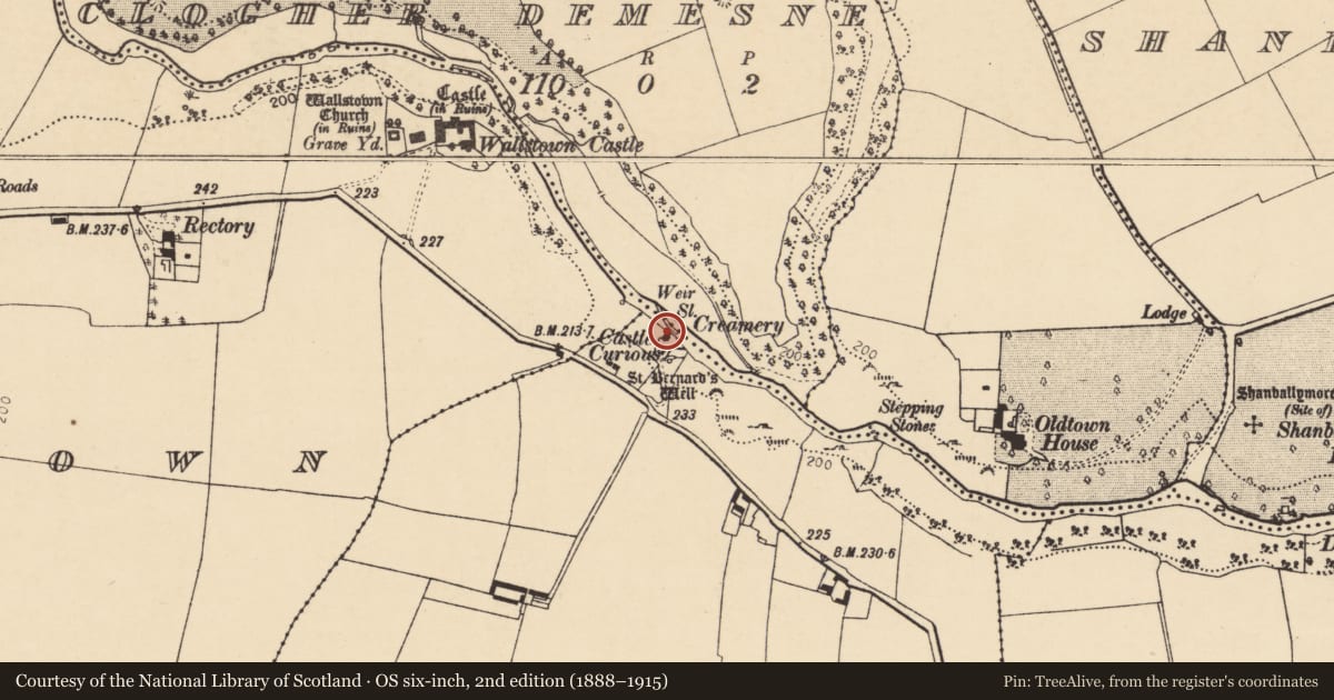Ordnance Survey six-inch map, 2nd edition (1888–1915) covering the location of Mill - corn, Doonawanly, County Cork, with a pin at the register's coordinates