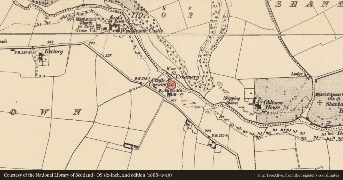 Ordnance Survey six-inch map, 2nd edition (1888–1915) covering the location of Ritual site - holy well, Doonawanly, County Cork, with a pin at the register's coordinates