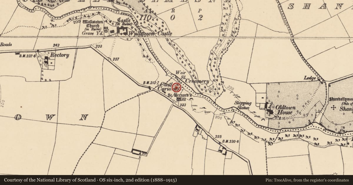 Ordnance Survey six-inch map, 2nd edition (1888–1915) covering the location of Castle - unclassified, Doonawanly, County Cork, with a pin at the register's coordinates