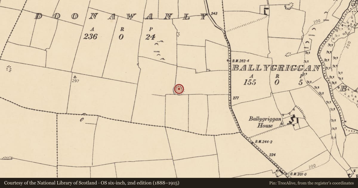 Ordnance Survey six-inch map, 2nd edition (1888–1915) covering the location of Ringfort - rath, Doonawanly, County Cork, with a pin at the register's coordinates