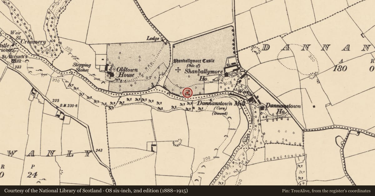 Ordnance Survey six-inch map, 2nd edition (1888–1915) covering the location of Mill - unclassified, Shanballymore Lower, County Cork, with a pin at the register's coordinates