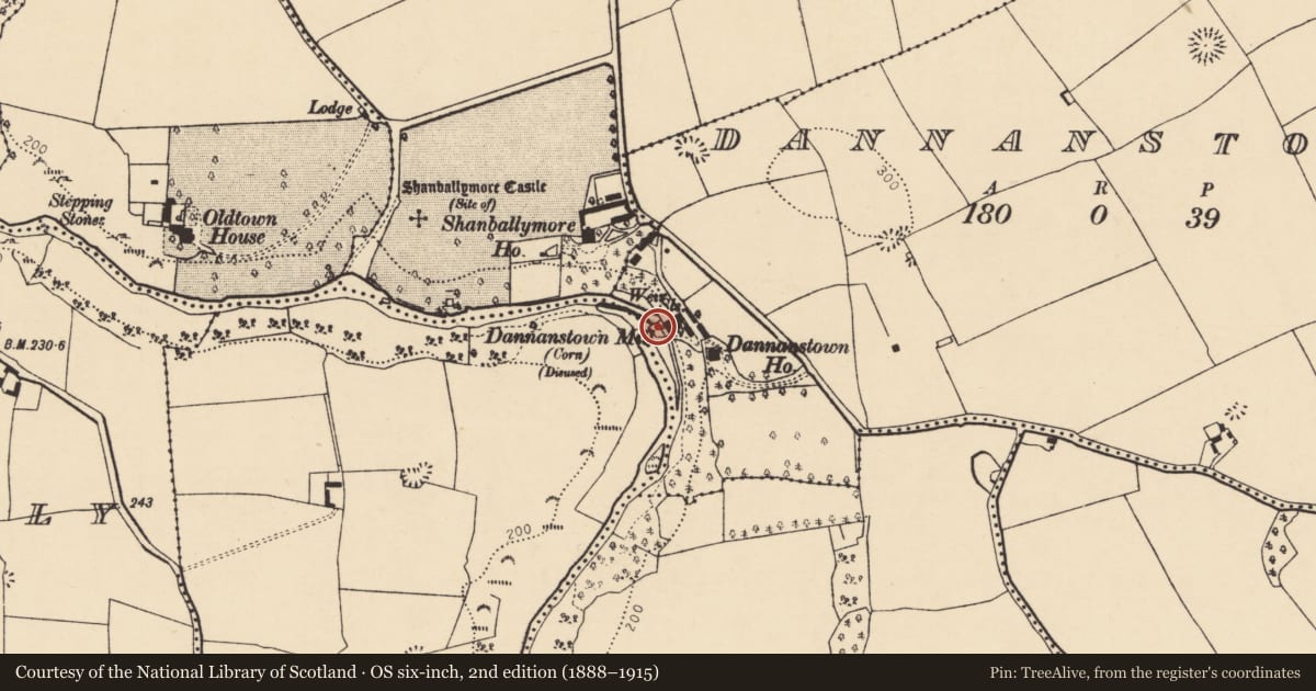 Ordnance Survey six-inch map, 2nd edition (1888–1915) covering the location of Mill - corn, Dannanstown, County Cork, with a pin at the register's coordinates