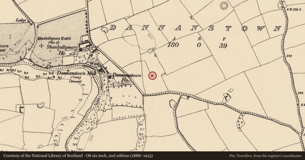 Ordnance Survey six-inch map, 2nd edition (1888–1915) covering the location of Castle - tower house, Dannanstown, County Cork, with a pin at the register's coordinates