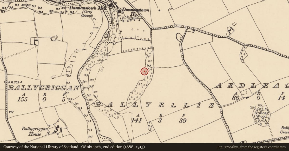 Ordnance Survey six-inch map, 2nd edition (1888–1915) covering the location of Ringfort - rath, Ballyellis (Fermoy By., Doneraile Par.), County Cork, with a pin at the register's coordinates