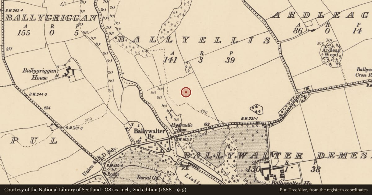 Ordnance Survey six-inch map, 2nd edition (1888–1915) covering the location of Souterrain, Ballyellis (Fermoy By., Wallstown Par.), County Cork, with a pin at the register's coordinates