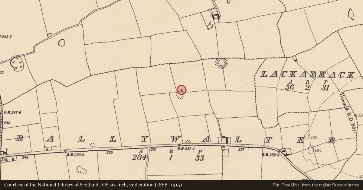 Ordnance Survey six-inch map, 2nd edition (1888–1915) covering the location of Kiln - lime, Ballywalter, County Cork, with a pin at the register's coordinates