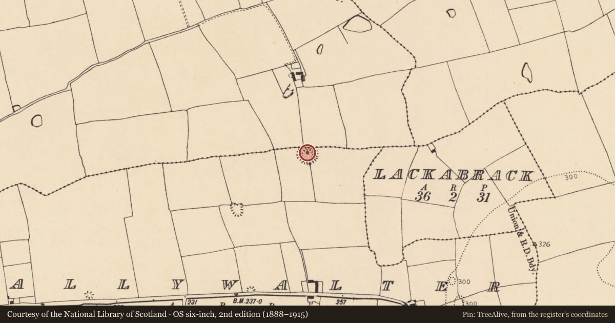 Ordnance Survey six-inch map, 2nd edition (1888–1915) covering the location of Enclosure, Ballywalter, County Cork, with a pin at the register's coordinates