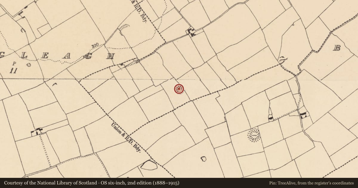 Ordnance Survey six-inch map, 2nd edition (1888–1915) covering the location of Ringfort - rath, Ballyvoddy, County Cork, with a pin at the register's coordinates