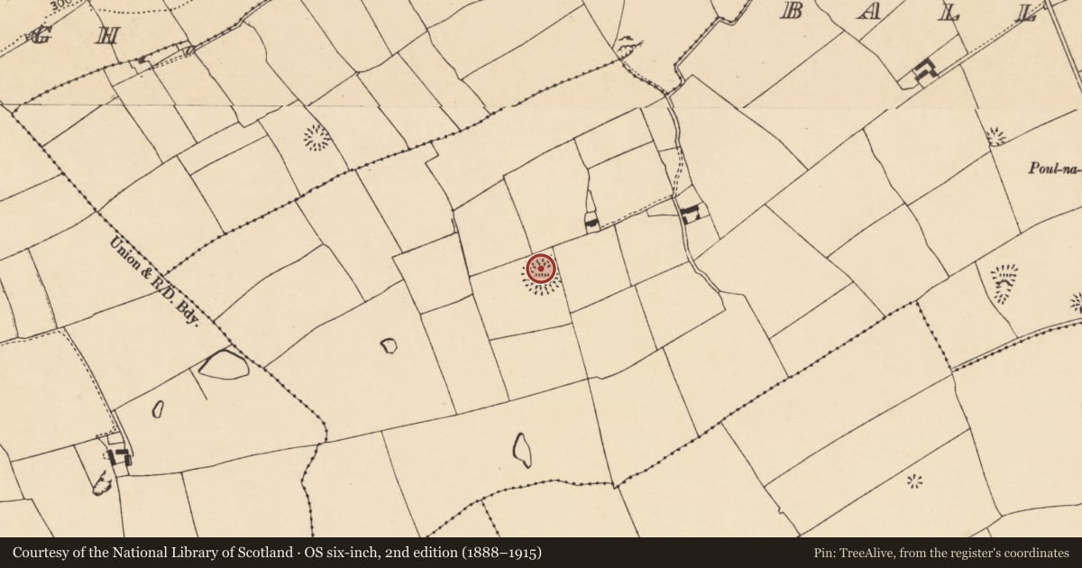 Ordnance Survey six-inch map, 2nd edition (1888–1915) covering the location of Ringfort - rath, Ballynahalisk, County Cork, with a pin at the register's coordinates