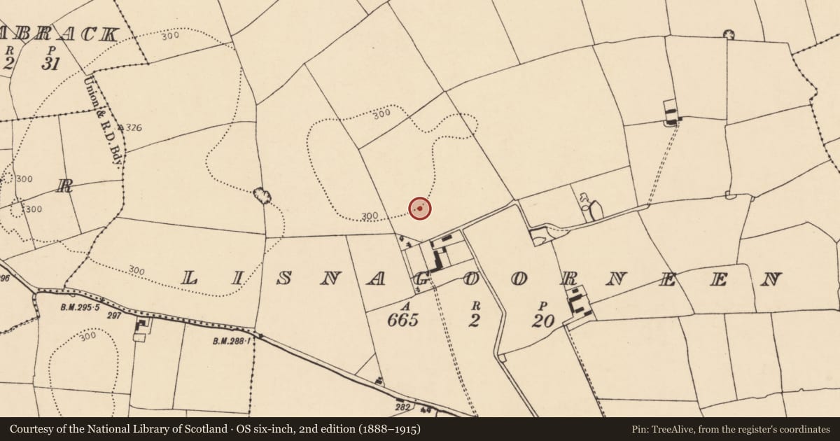 Ordnance Survey six-inch map, 2nd edition (1888–1915) covering the location of Souterrain, Lisnagoorneen, County Cork, with a pin at the register's coordinates