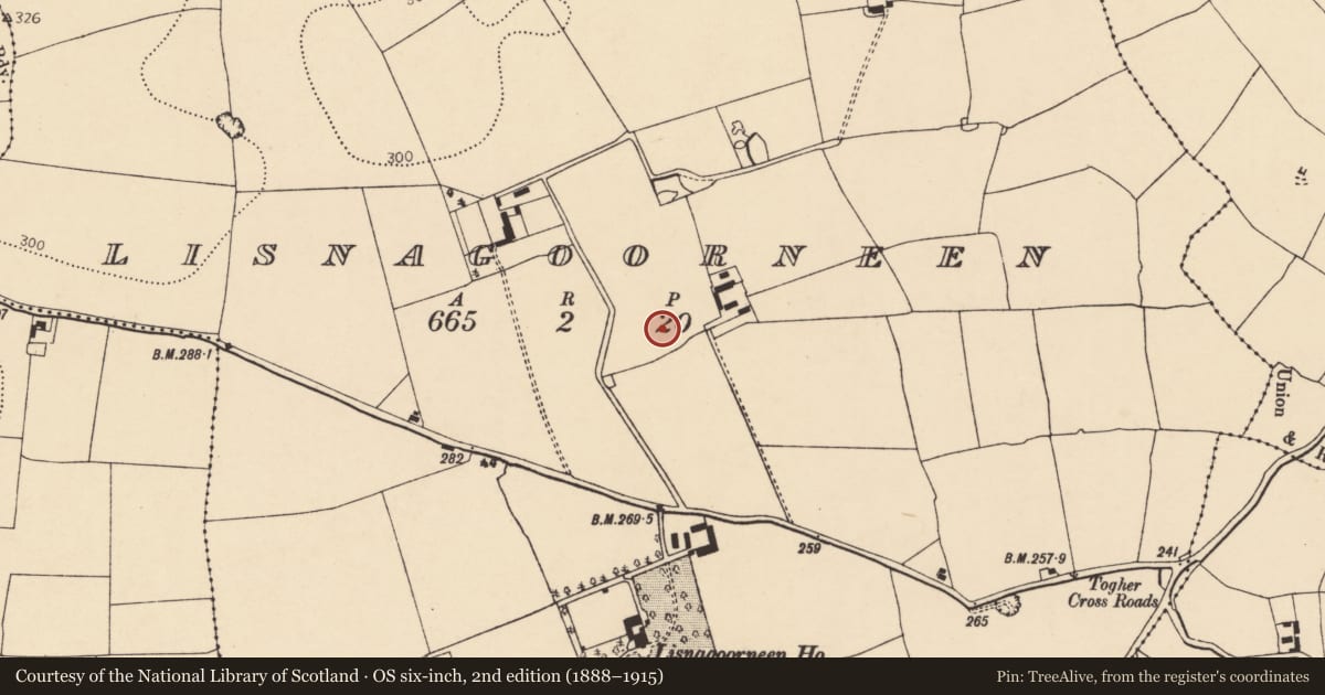 Ordnance Survey six-inch map, 2nd edition (1888–1915) covering the location of Ringfort - rath, Lisnagoorneen, County Cork, with a pin at the register's coordinates