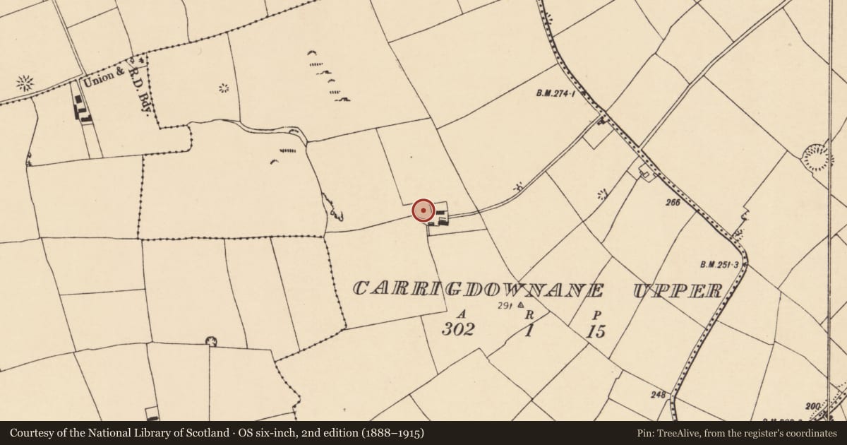 Ordnance Survey six-inch map, 2nd edition (1888–1915) covering the location of Ringfort - rath, Carrigdownane Upper, County Cork, with a pin at the register's coordinates