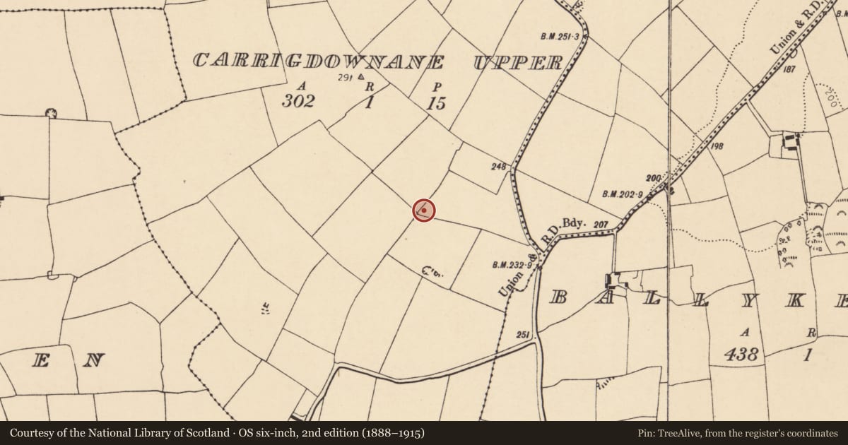 Ordnance Survey six-inch map, 2nd edition (1888–1915) covering the location of Enclosure, Carrigdownane Upper, County Cork, with a pin at the register's coordinates