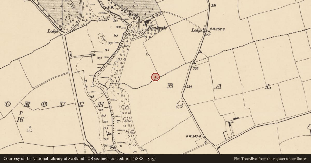 Ordnance Survey six-inch map, 2nd edition (1888–1915) covering the location of Quarry, Ballydoyle, County Cork, with a pin at the register's coordinates