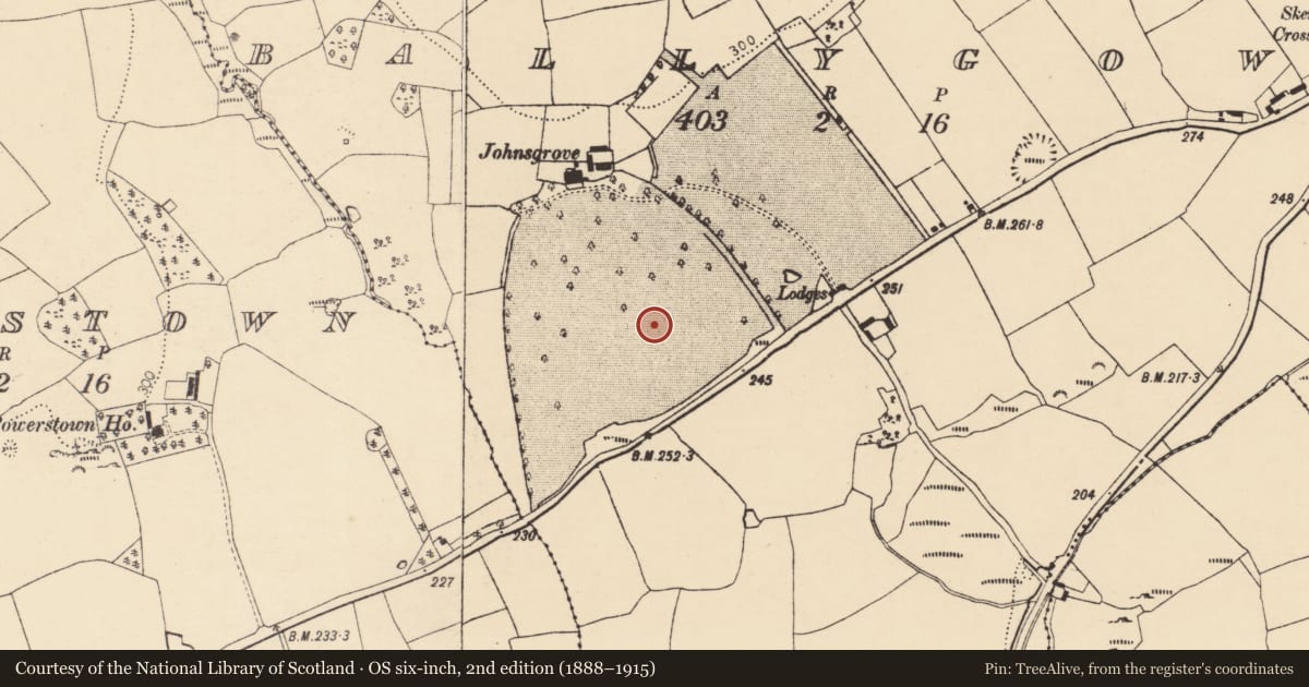 Ordnance Survey six-inch map, 2nd edition (1888–1915) covering the location of Ringfort - rath, Ballygown, County Cork, with a pin at the register's coordinates