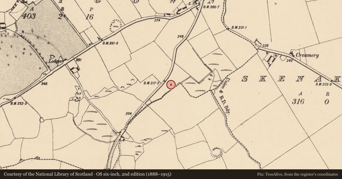 Ordnance Survey six-inch map, 2nd edition (1888–1915) covering the location of Fulacht fia, Ballygown, County Cork, with a pin at the register's coordinates