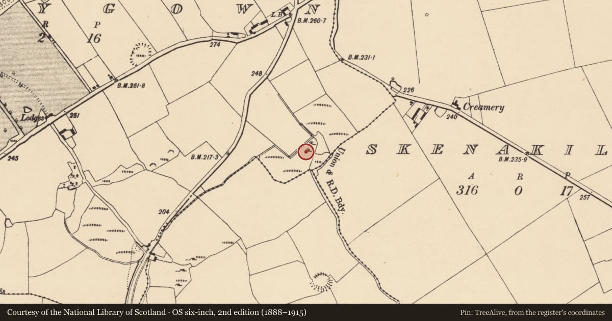 Ordnance Survey six-inch map, 2nd edition (1888–1915) covering the location of Fulacht fia, Ballygown, County Cork, with a pin at the register's coordinates