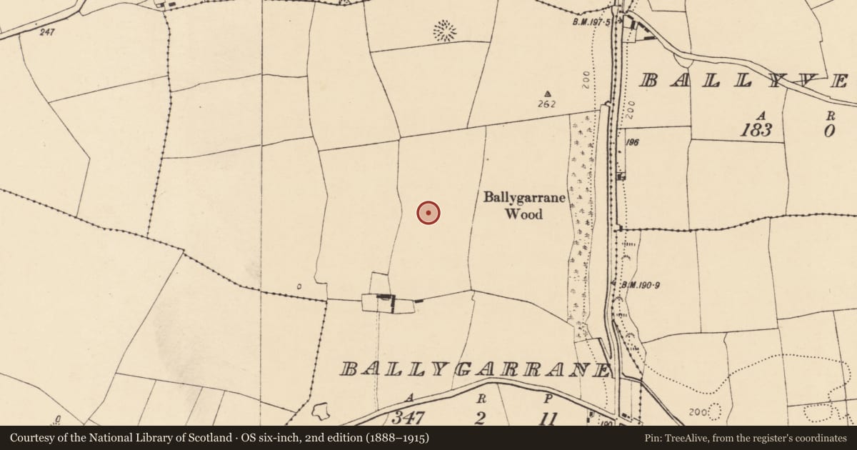Ordnance Survey six-inch map, 2nd edition (1888–1915) covering the location of Ringfort - rath, Ballygarrane, County Cork, with a pin at the register's coordinates