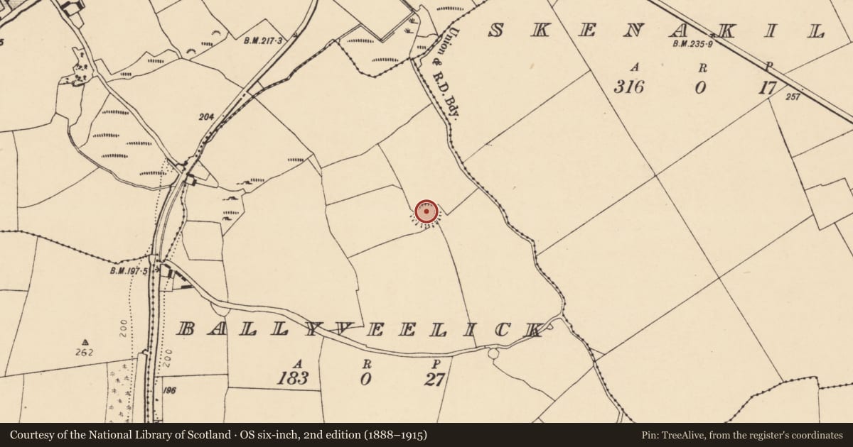 Ordnance Survey six-inch map, 2nd edition (1888–1915) covering the location of Ringfort - rath, Ballyveelick, County Cork, with a pin at the register's coordinates