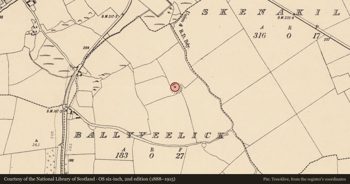 Ordnance Survey six-inch map, 2nd edition (1888–1915) covering the location of Field system, Ballyveelick, County Cork, with a pin at the register's coordinates