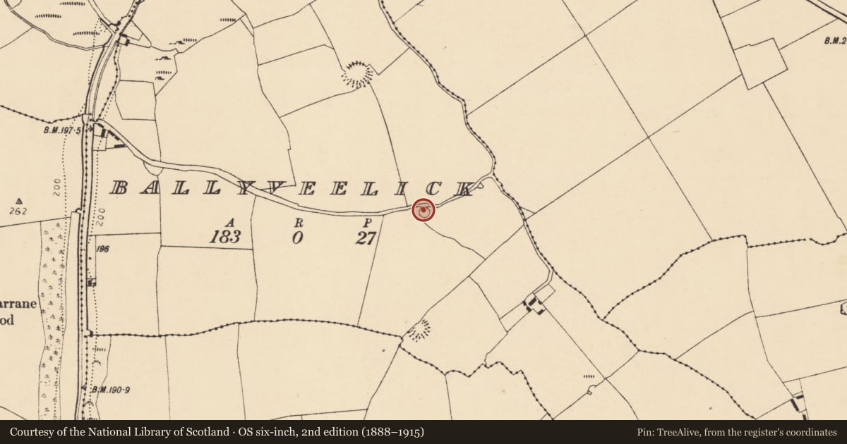 Ordnance Survey six-inch map, 2nd edition (1888–1915) covering the location of Ringfort - rath, Ballyveelick, County Cork, with a pin at the register's coordinates