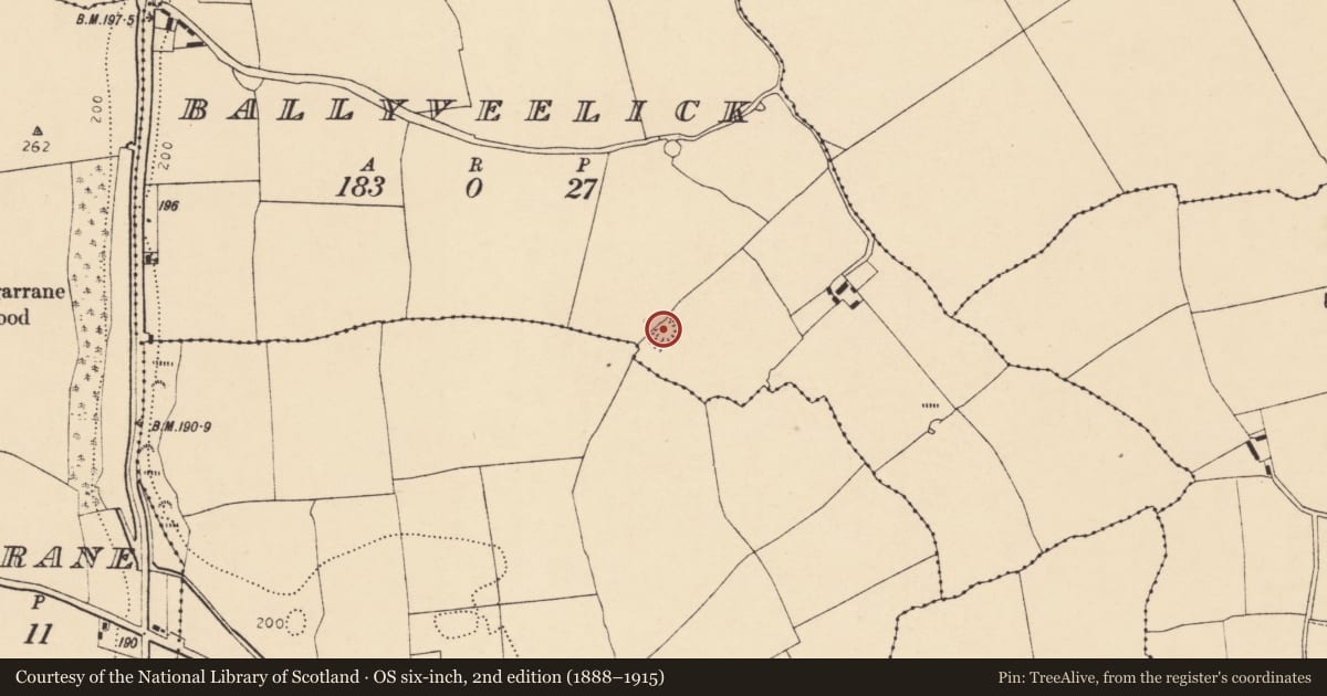 Ordnance Survey six-inch map, 2nd edition (1888–1915) covering the location of Ringfort - rath, Ballyveelick, County Cork, with a pin at the register's coordinates