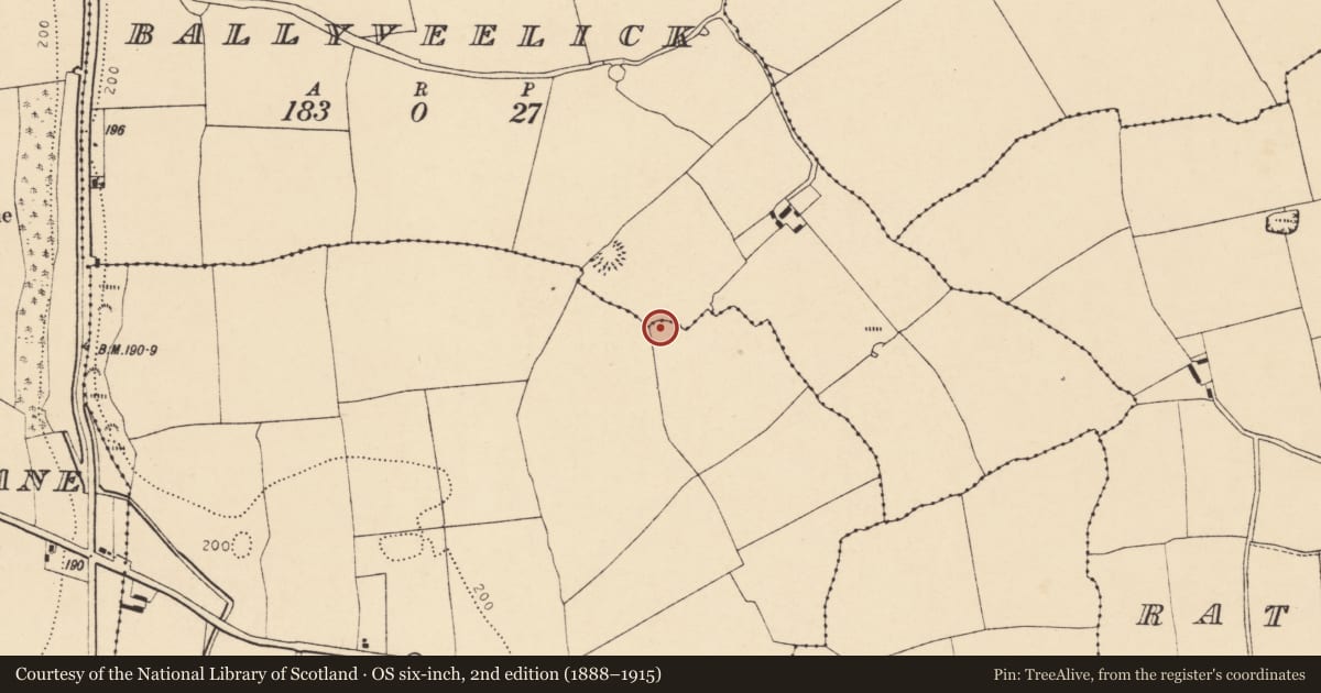 Ordnance Survey six-inch map, 2nd edition (1888–1915) covering the location of Ringfort - rath, Garranachole, County Cork, with a pin at the register's coordinates