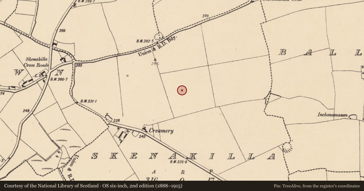 Ordnance Survey six-inch map, 2nd edition (1888–1915) covering the location of Ringfort - rath, Skenakilla, County Cork, with a pin at the register's coordinates