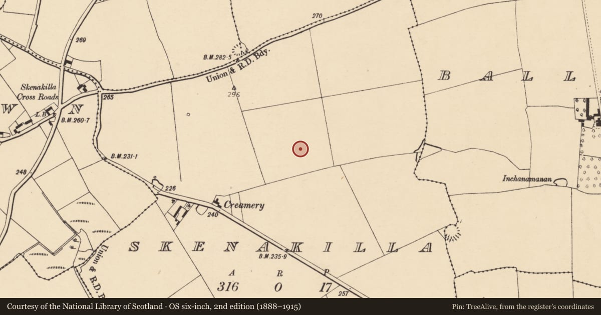 Ordnance Survey six-inch map, 2nd edition (1888–1915) covering the location of Ringfort - rath, Skenakilla, County Cork, with a pin at the register's coordinates