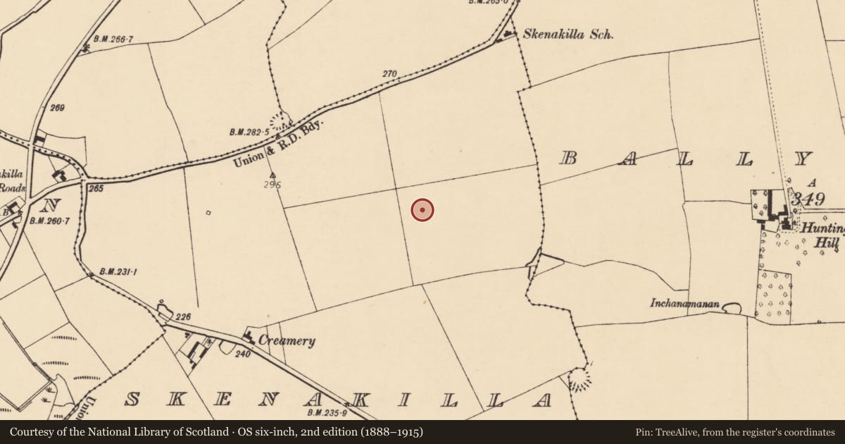 Ordnance Survey six-inch map, 2nd edition (1888–1915) covering the location of Fulacht fia, Skenakilla, County Cork, with a pin at the register's coordinates