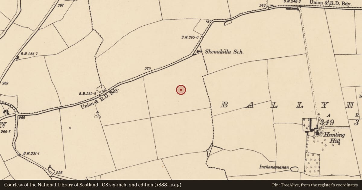 Ordnance Survey six-inch map, 2nd edition (1888–1915) covering the location of Ringfort - rath, Skenakilla, County Cork, with a pin at the register's coordinates