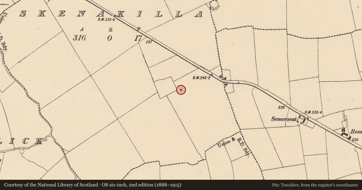 Ordnance Survey six-inch map, 2nd edition (1888–1915) covering the location of Ringfort - rath, Skenakilla, County Cork, with a pin at the register's coordinates