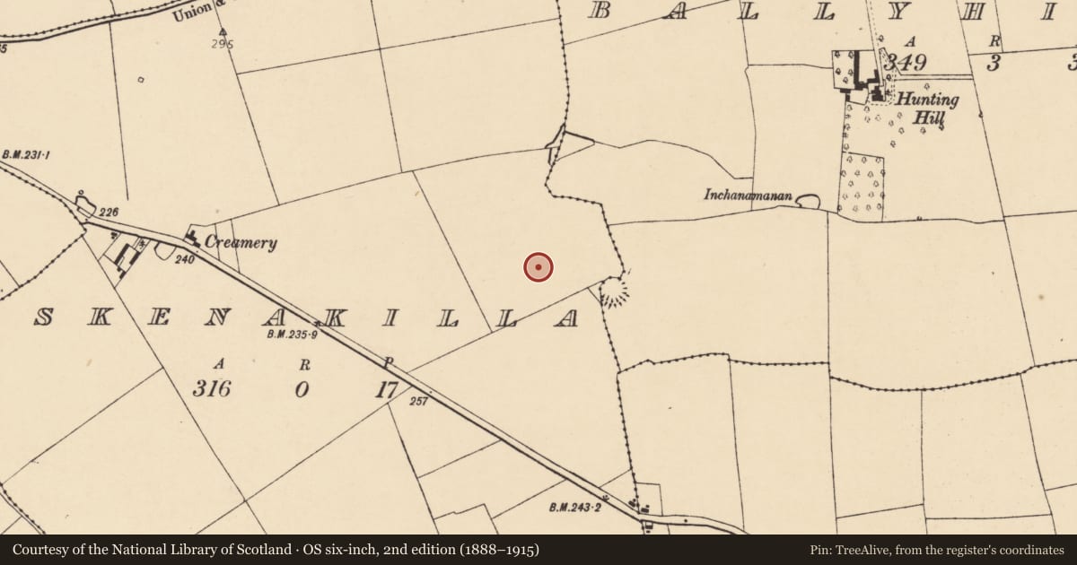 Ordnance Survey six-inch map, 2nd edition (1888–1915) covering the location of Ringfort - rath, Skenakilla, County Cork, with a pin at the register's coordinates